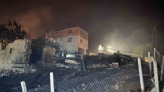 Sakarya'daki orman yangında 3 ev kül oldu