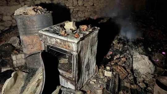 Sakarya'daki orman yangında 3 ev kül oldu