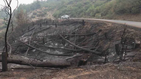Orman yangınında bir kadın alevlerin arasında kaldı