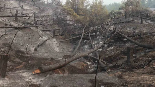 Orman yangınında bir kadın alevlerin arasında kaldı