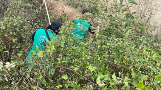 Kaybolan emekli öğretmen 14 saat sonra bulundu