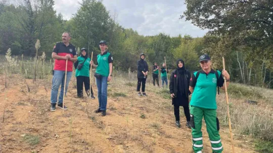 Kaybolan emekli öğretmen 14 saat sonra bulundu