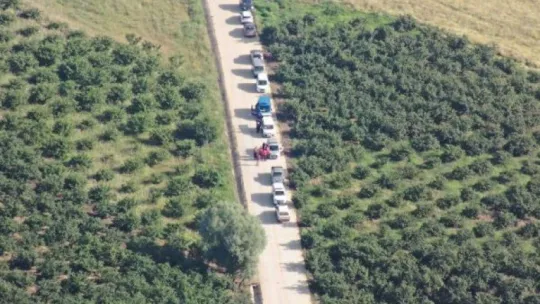 Ormanda mantar ararken kayboldu, 12 saat sonra bulundu