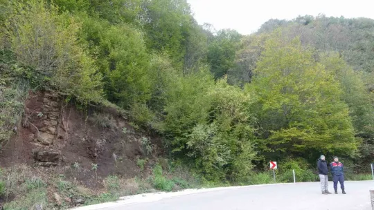 Ormanın içindeki havuza düşen yavru ayı böyle kurtarıldı
