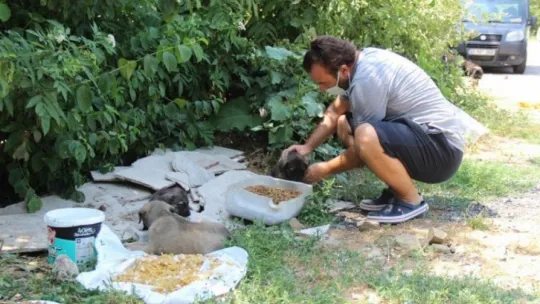 Ormanlara girişler yasaklanınca hayvanlar için harekete geçtiler