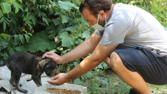 Ormanlara girişler yasaklanınca hayvanlar için harekete geçtiler