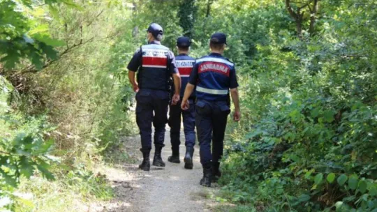 Ormanlara girişler yasaklanınca hayvanlar için harekete geçtiler
