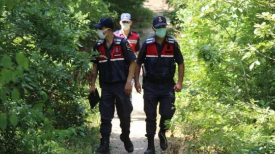 Ormanlara girişler yasaklanınca hayvanlar için harekete geçtiler
