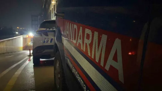 Kocaeli'de ormanlık alanda korkunç cinayet, dili ve kulakları kesildi
