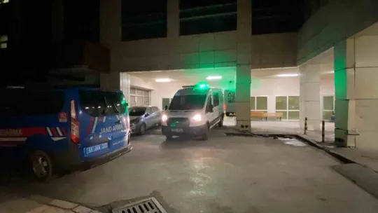 Kocaeli'de ormanlık alanda korkunç cinayet, dili ve kulakları kesildi