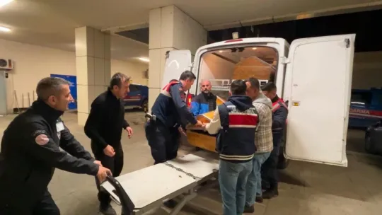 Kocaeli'de ormanlık alanda korkunç cinayet, dili ve kulakları kesildi