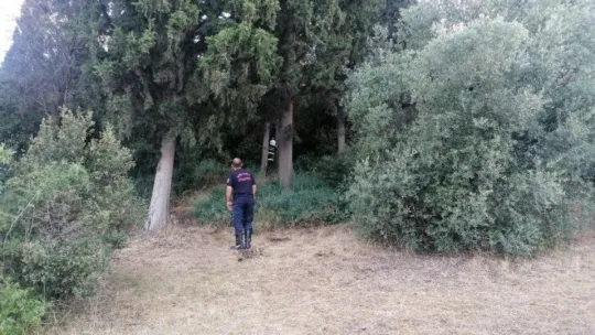 Ormanlık alanda yeniden çıkan yangını muhtar söndürdü!