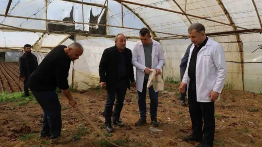 Örtü altı üreticiye destek