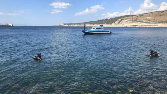 Osmangazi Köprüsü'nden atlayan şahsın arama çalışmaları devam ediyor