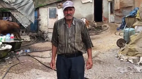 İnekler çatlayıp telef oldu, sebebi şok etti