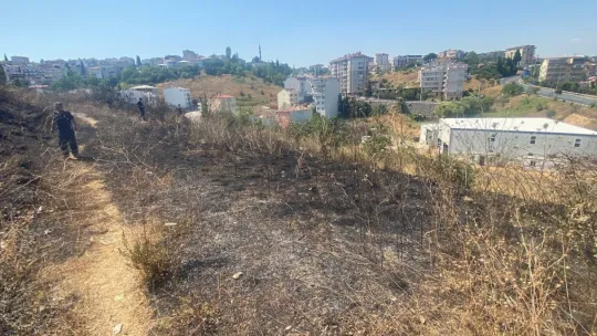 Kocaeli'de 20 dönüm alan küle döndü