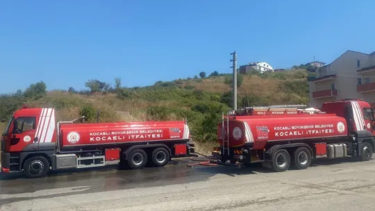 Kocaeli'de 20 dönüm alan küle döndü