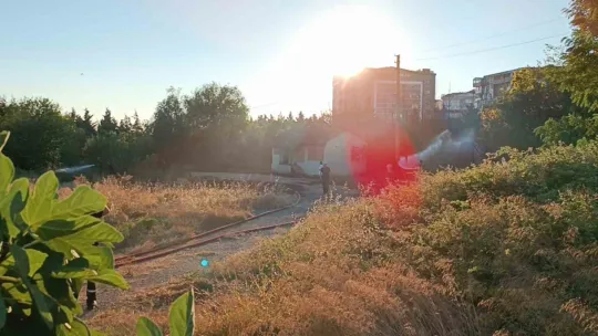 Otluk alanda çıkan yangın söndürüldü