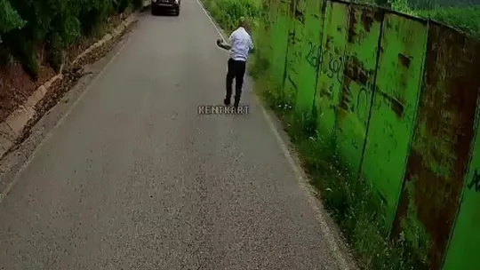 Otobüs şoförü kaplumbağayı ezilmekten kurtardı