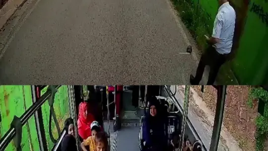 Otobüs şoförü kaplumbağayı ezilmekten kurtardı