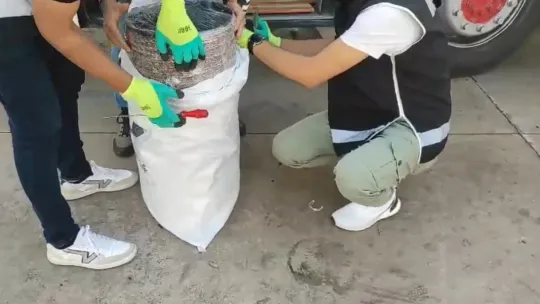 Otobüsteki kaçak sigara zulası hayrete düşürdü