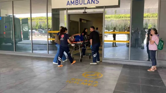Otomobil ağaca çarptı, yaşlı çift yaralandı