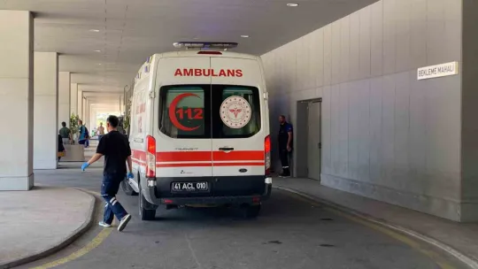 Otomobil ağaca çarptı, yaşlı çift yaralandı