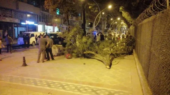 Otomobil önce ağaca sonra da park halindeki araçlara çarptı!