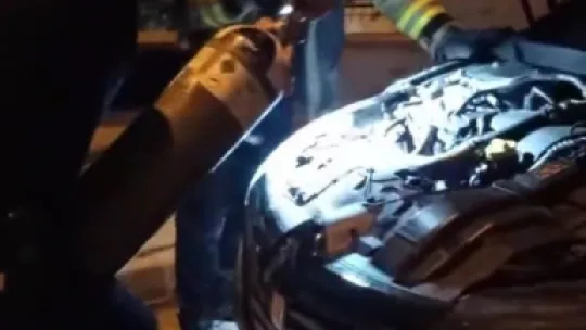 Otomobile giren yılan böyle çıktı