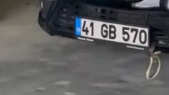 Otomobile giren yılan böyle çıktı