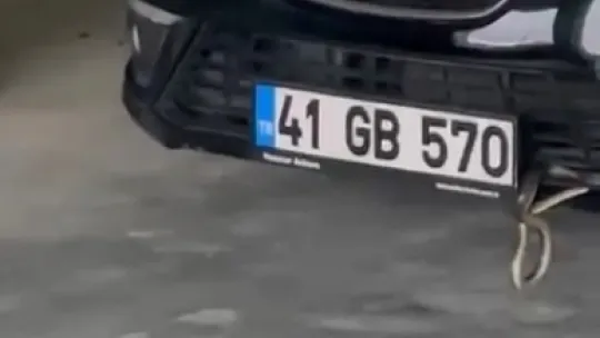 Otomobile giren yılan böyle çıktı