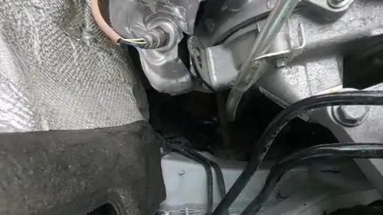 Otomobilin içinden kurtardıkları kediyi sahiplendiler!