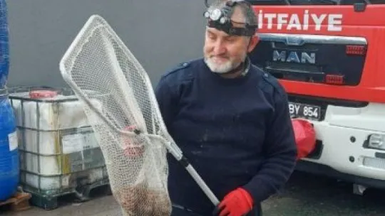 Otomobilin içinden kurtardıkları kediyi sahiplendiler!