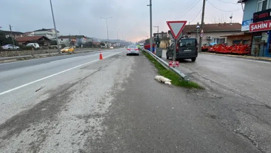 Otomobilin köpeğe çarptığı kaza kamerada