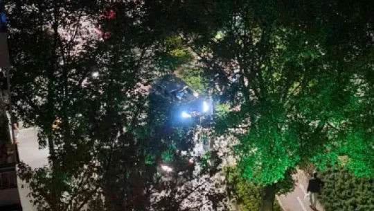 Otomobiliyle ağaca çarptı, polise mukavemet gösterdi