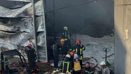 Kocaeli'deki yangında yeni detaylar