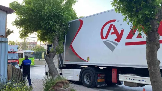 Park etmeye çalışan tırın üzerine ağaç devrildi