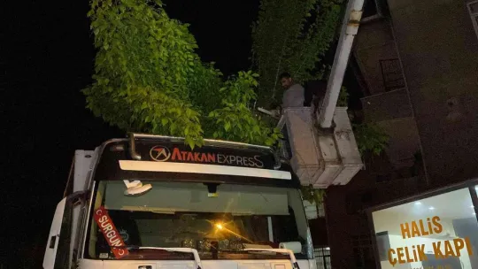 Park etmeye çalışan tırın üzerine ağaç devrildi