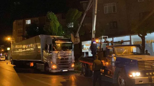 Park etmeye çalışan tırın üzerine ağaç devrildi