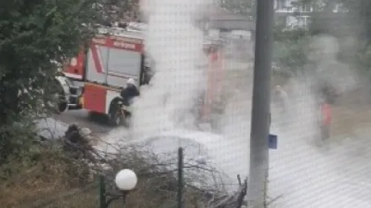 Park halindeki otomobil alev topuna döndü