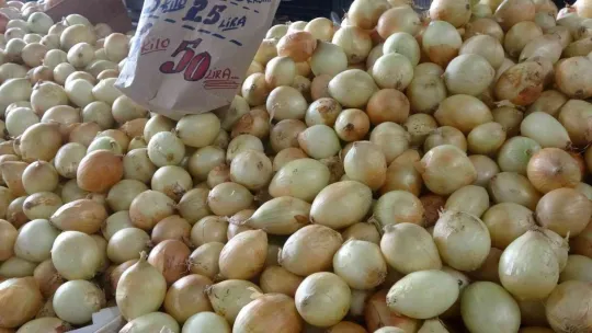 Pazarda meyve ve sebze fiyatları dibi gördü