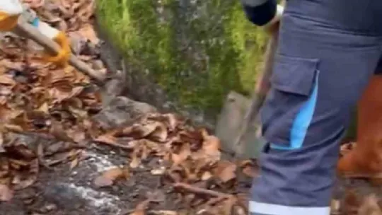 Planlı cinayet davasında flaş gelişme