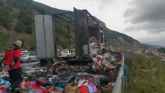 Plastik malzeme taşıyan tır TEM'de alev alev yandı