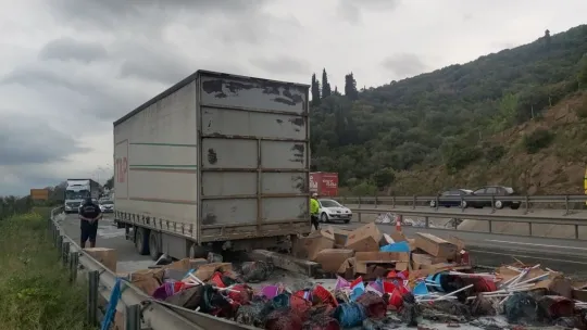 Plastik malzeme taşıyan tır TEM'de alev alev yandı
