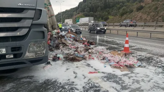 Plastik malzeme taşıyan tır TEM'de alev alev yandı