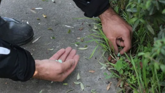Polis uyuşturucuyu yoldan tek tek topladı