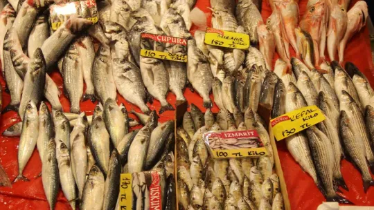 Ramazan geldi, balık tezgahları boş kaldı