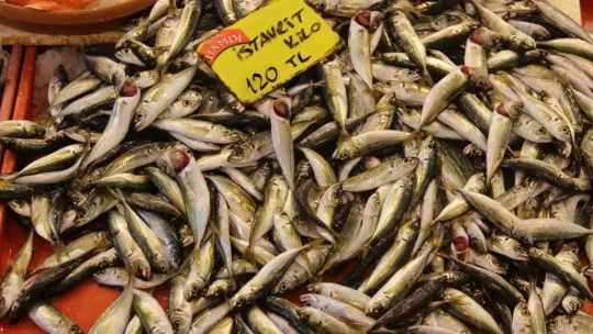Ramazan geldi, balık tezgahları boş kaldı