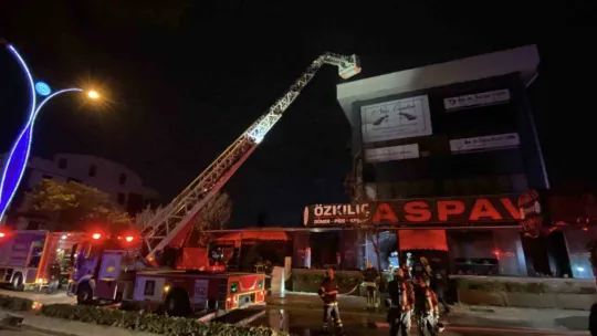Restoran alevlere teslim oldu