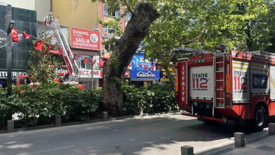 Restoranın bacasında çıkan yangın ekipleri harekete geçirdi